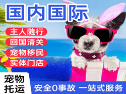 集宁航空空运国际宠物托运 【国